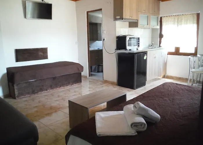 公寓 Edelweiss 萨索斯